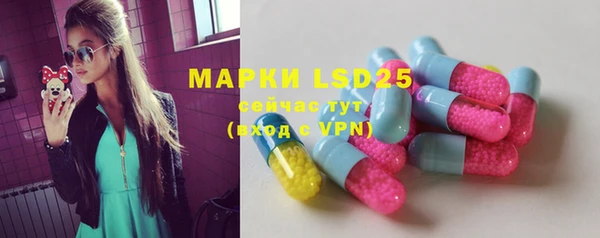 прущая мука Инсар