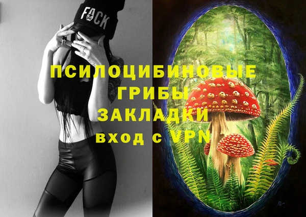 тгк Алексеевка