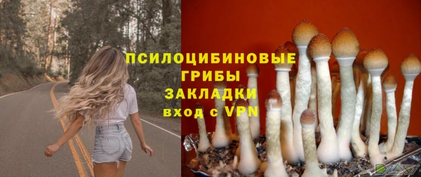 мескалин Абаза