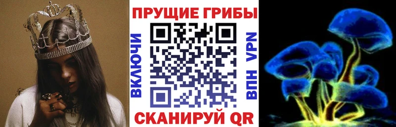 Псилоцибиновые грибы мухоморы  где найти   Ливны 